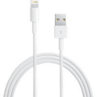 Koop Apple Lightning Usb A kabel 1m - 0190198531704